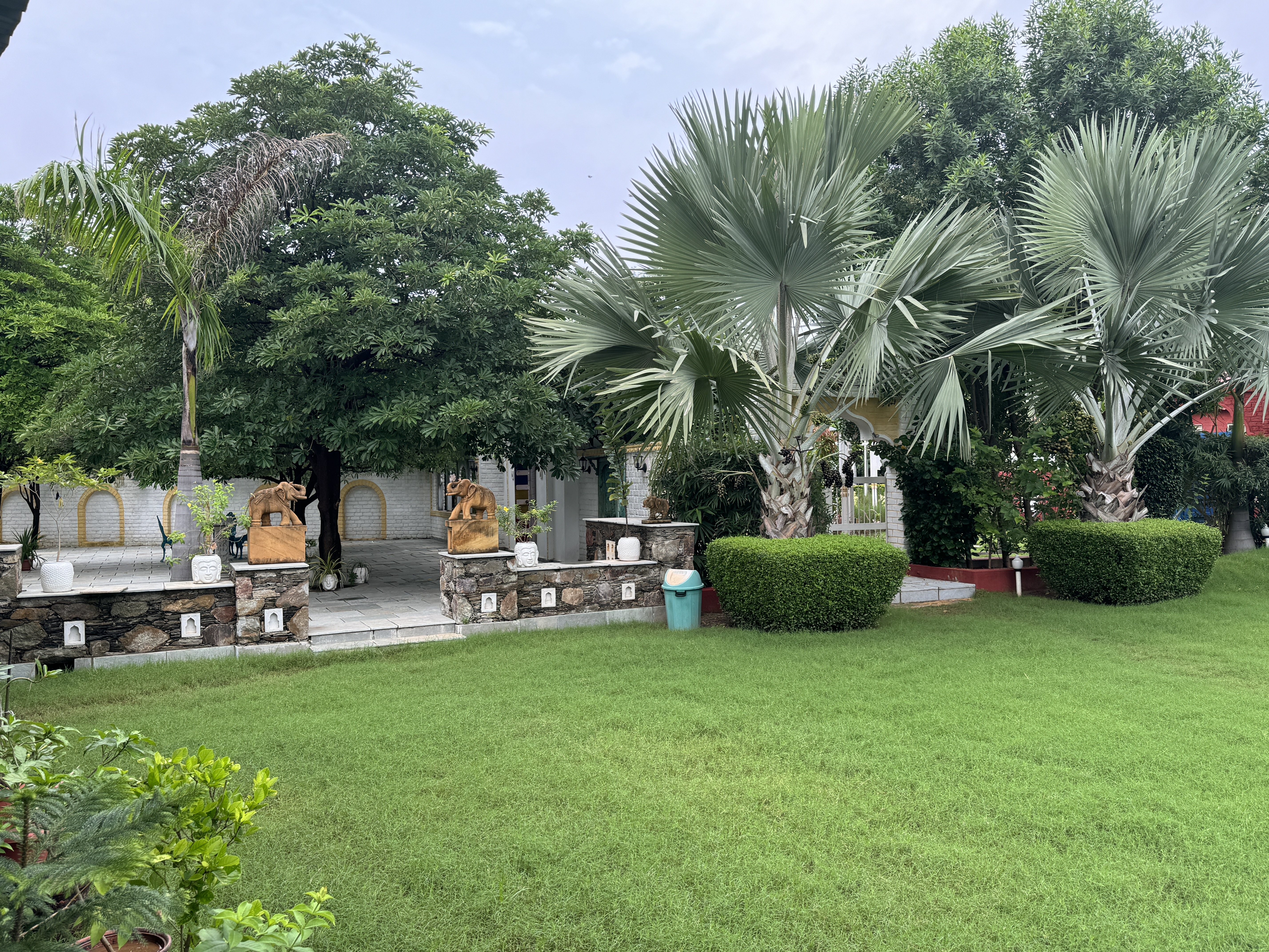 Garden 2