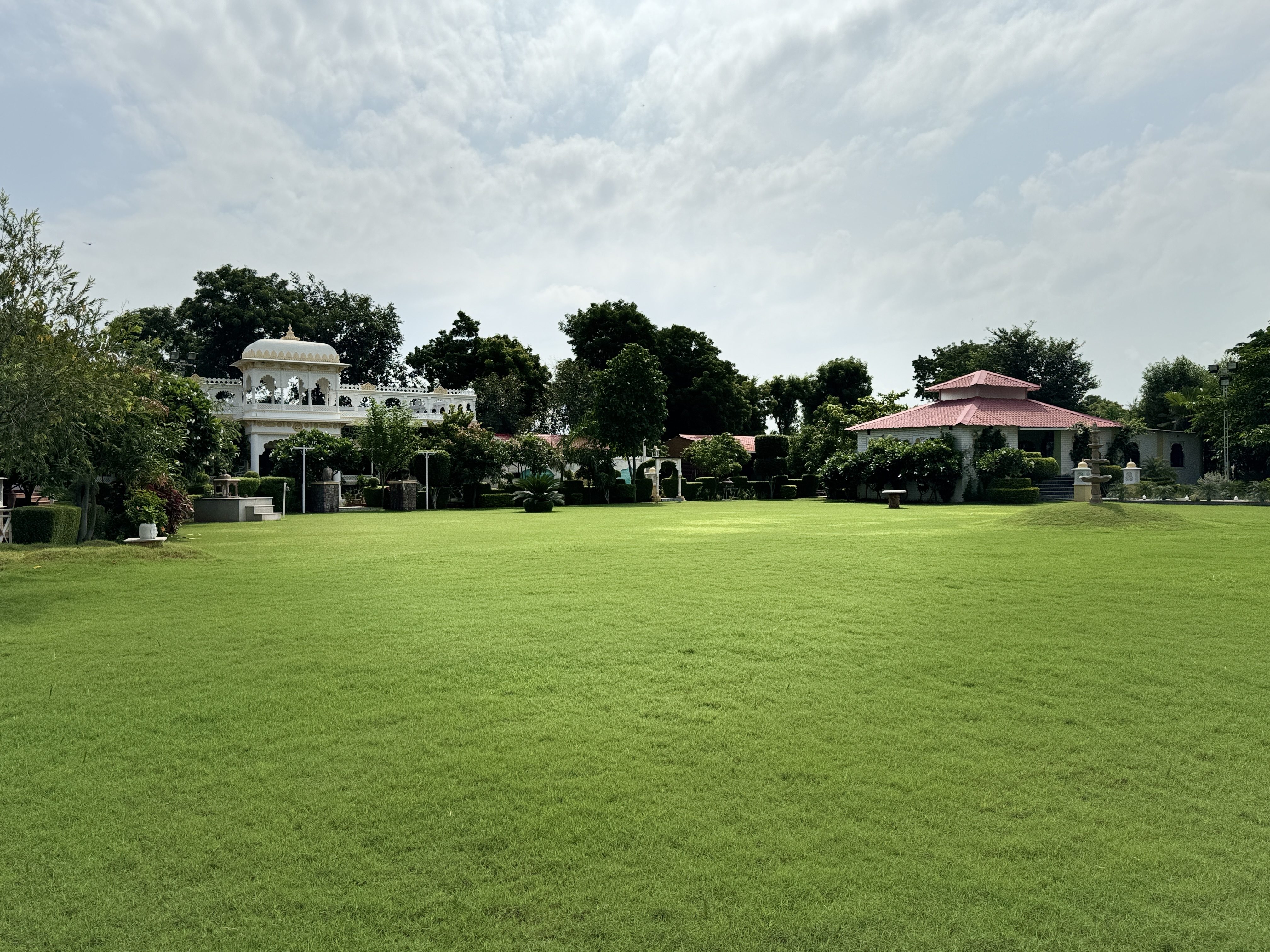 Garden 1